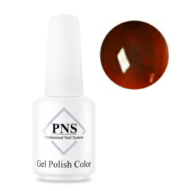 PNS Glass Gel Polish 10