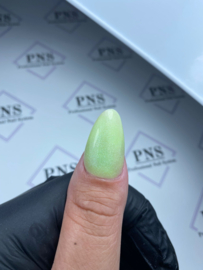 PNS Poly AcrylGel DeLuxe 16