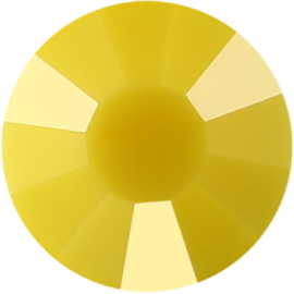 Aurora 2111 Deep Yellow ss4