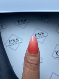 PNS Poly AcrylGel DeLuxe 62