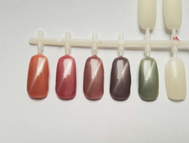 PNSgelpolish 1040