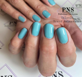 PNSgelpolish 4067