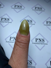 PNS Poly AcrylGel DeLuxe 79