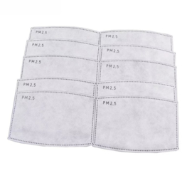 PNS FaceMask Filter (10stuks)