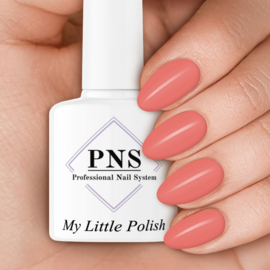 My Little Polish Poppy