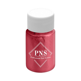 PNS Pigment Powder 9