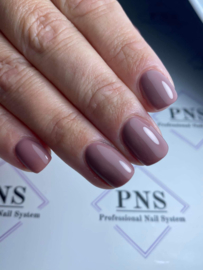 PNSgelpolish 5006