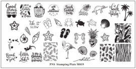 PNS Stamping Plate M019