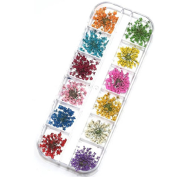 Droog Bloemen Set