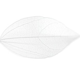 PNS Inlay Leaf 3