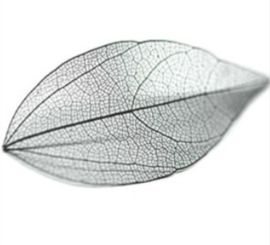 PNS Inlay Leaf 6
