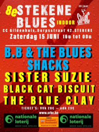 Entreekaart 8e Stekene Bluesfestival