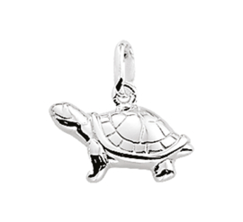 Zilveren bedel schildpad