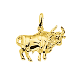 Gouden sterrenbeeld stier hanger