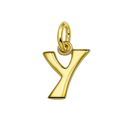 Gouden letter Y hanger