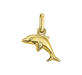 Gouden dolfijn hanger