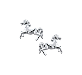 Zilveren oorknoppen paard