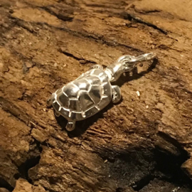 Zilveren bedel schildpad