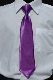 Paarse stropdas