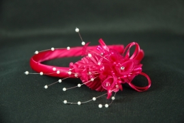 Fuchsia bloem diadeem