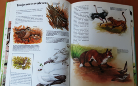 Groot dierenboek voor de jeugd - J. Patton / C. Dell