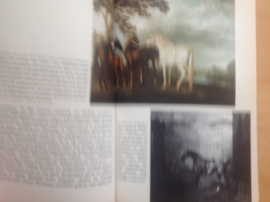 The Rijksmuseum and other Dutch Museums - R. van Luttervelt