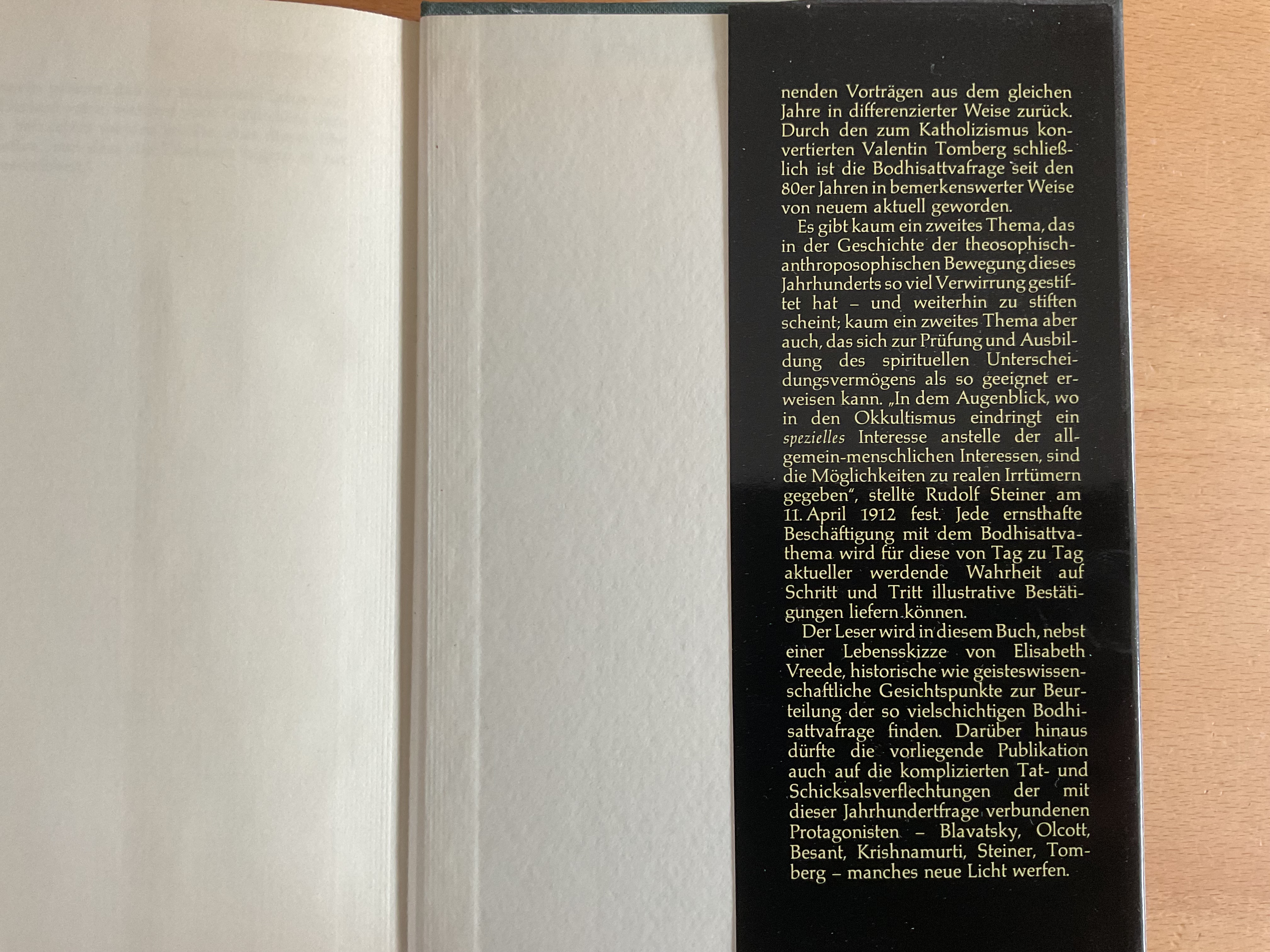 Die Bodhisattvafrage  - E. Vreede / T. Meyer