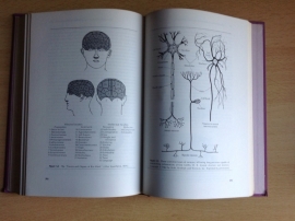 Fundamentals of experimental psychology - Ch. L. Sheridan