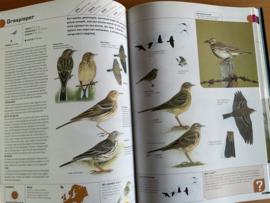 Alle vogels van Europa, met digitale veldgids inclusief vogelzang (CD)- P. Hayman / R. Hume