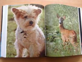 Het gouden boek der kleurenfotografie - G. Isert