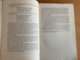 Apokalypse - L.E. Bock