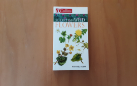 Scottish wild flowers - M. Scott