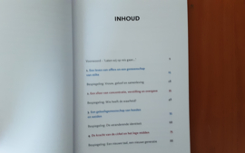 Spiegelreis - H. Koetsveld / E. Odaci