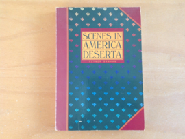 Scenes in America Deserta - R. Banham