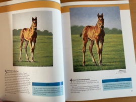 Draw and paint 50 animals - J. Filler Scott