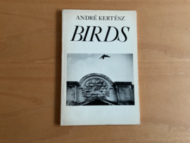 Birds - A. Kertesz