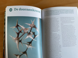 Het rariteitenkabinet - K. Nanninga