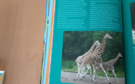 Zoo wat een dieren! - Y. Swart