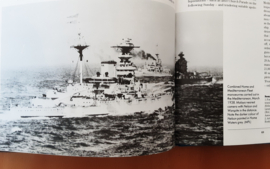 Battleship Warspite - V.E. Tarrant