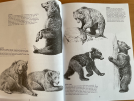 Drawing animals - N. Adams / J. Singer