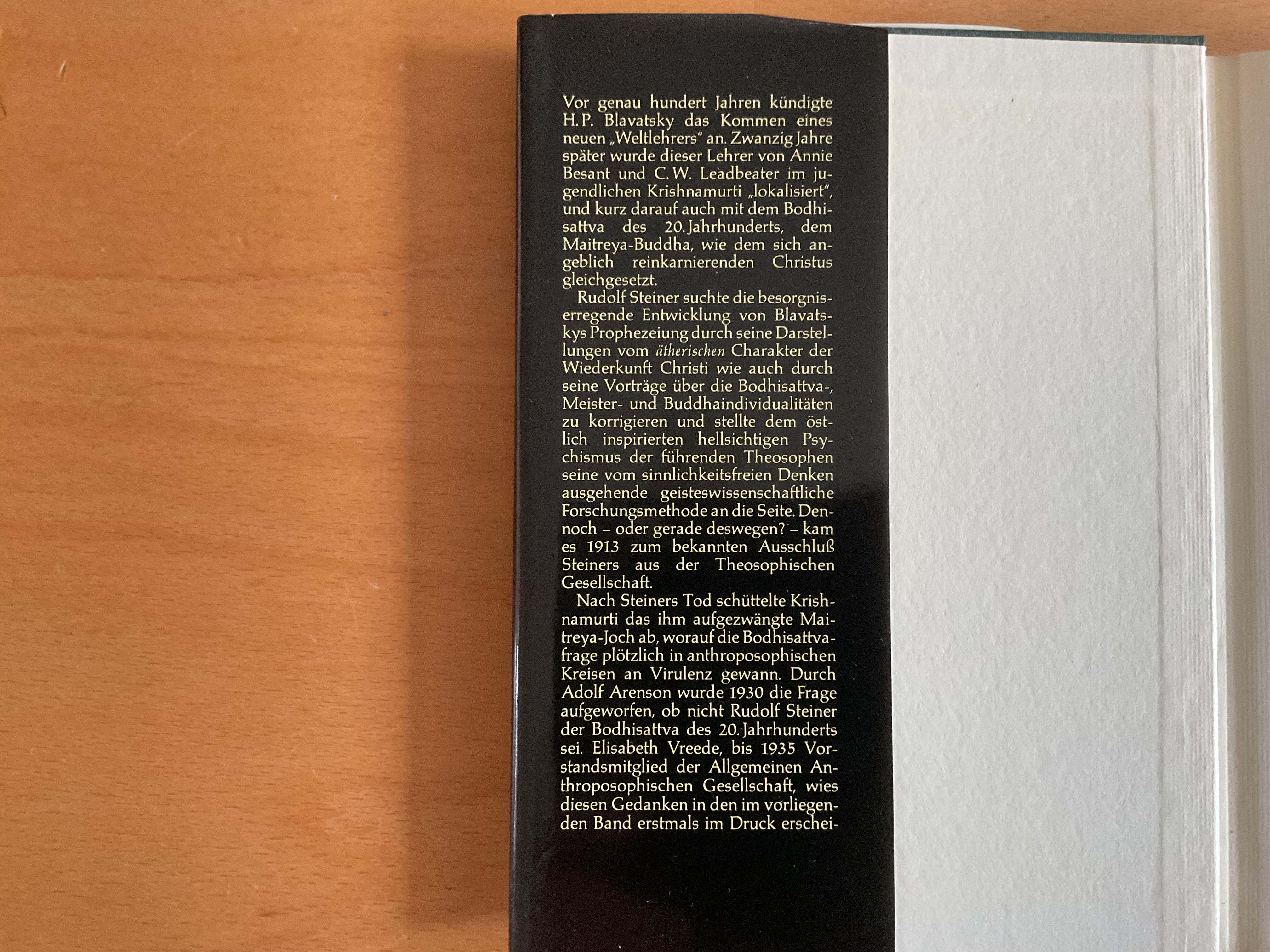 Die Bodhisattvafrage  - E. Vreede / T. Meyer