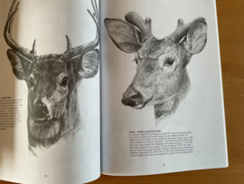 Drawing animals - N. Adams / J. Singer