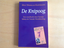 De knipoog - M. Weisglas-Kaufmann