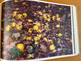 Die Wiese  / the meadow. Esxhenau 1986-2013 - H. de Vries / S. de Vries