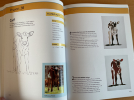 Draw and paint 50 animals - J. Filler Scott