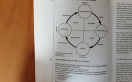 Informatieplanning; puzzelen met beleid en plan - B.A.A. Hopstaken / A. Kranendonk