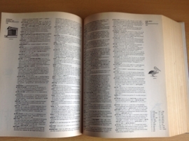 Webster's New Encyclopedic Dictionary