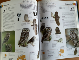 Alle vogels van Europa, met digitale veldgids inclusief vogelzang (CD)- P. Hayman / R. Hume