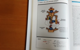 Atlas of Psychiatric Pharmacotherapy - R. Shiloh / R. Stryer / A. Weizman / D. Nutt