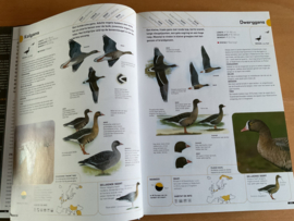 Alle vogels van Europa, met digitale veldgids inclusief vogelzang (CD)- P. Hayman / R. Hume